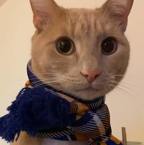 Meet your Posher, Rowan yeon